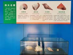 -上海海洋大学鱼文化博物馆(军工路校区)