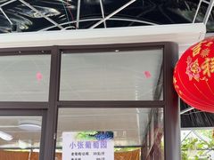 -马陆小张葡萄园农家乐