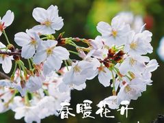 -鸡鸣寺百味斋素菜馆