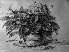 画室作品-津艺画室