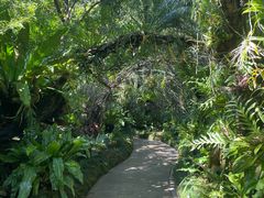 -深圳仙湖植物园