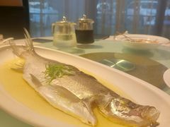 -席家花园(巨鹿花园店)