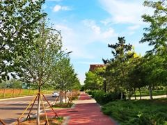 -东北大学(南湖校区)