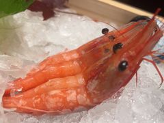 -月龍吟(朝龙汇店)