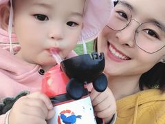 -渭南桃花源民俗文化园