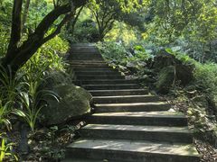 -火炉山森林公园