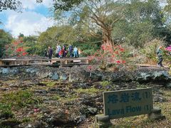 -海口火山口国家地质公园
