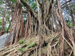 -乌山风景区