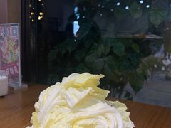 -黑猫馋纸包鱼(阳光店)
