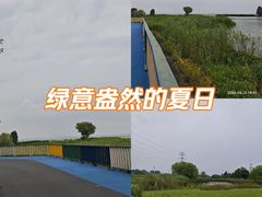 -贡湖湾湿地公园