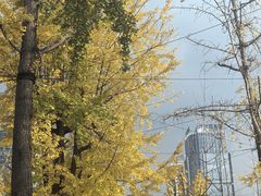 -两江幸福广场