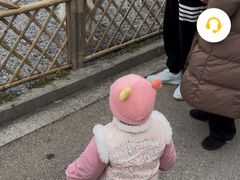 -同里湖度假村(二期店)