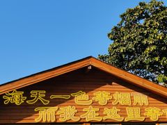 -杨梅坑
