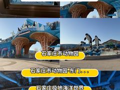 -石家庄极地海洋世界