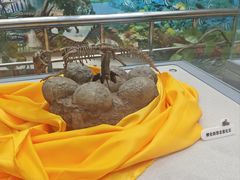 -诸城市恐龙博物馆