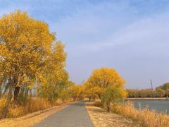 -野鸭湖国家湿地公园