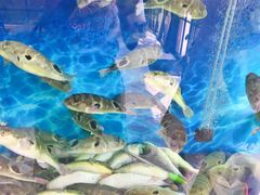 -肆月河豚·新淮扬(金融街店)