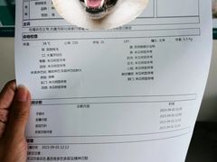 -中农国际动物医院24小时·猫科·骨科·急重症中心