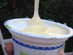 -德禄酸奶(小公园店)