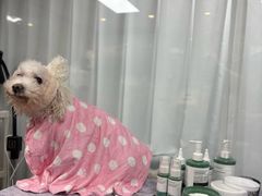 -爱派特动物医院·全科诊疗中心