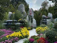-南山植物园