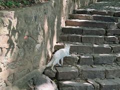 -狼山风景名胜区