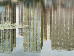 -花果园湿地公园