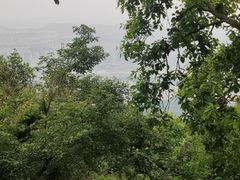 -紫金山山顶公园