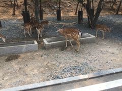 -济南野生动物世界