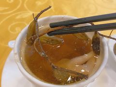 野生石甘榄汤-粤·向群饭店(泮塘路店)
