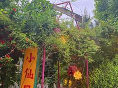-小仙居·农家宴烤羊· 农庄