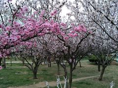 -日照灯塔风景区
