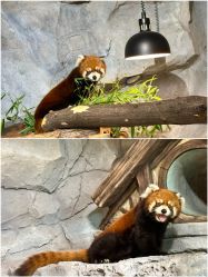 -Zoolung Zoolung动物主题公园(海信广场店)