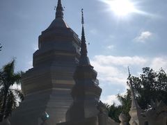 -西双版纳傣族园