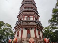 -顺峰山公园