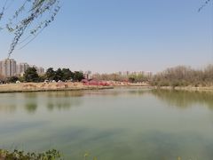 -塘沽森林公园