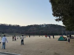 -羊山湖公园
