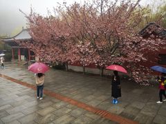 -石岛赤山风景区