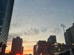 -北陵公园