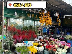 -曲阳花鸟市场(曲阳路店)