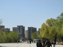 -武清南湖绿博园