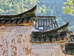 -杨家堂村