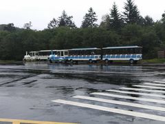 -五营红松林海景区