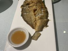 -沪碟·精菜坊(闵行店)