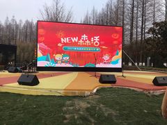 -黄海国家森林公园