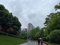 -龙头寺公园