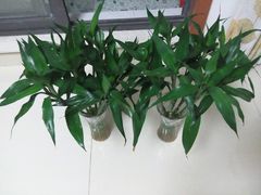 -无锡文化工艺品市场(槐古路店)