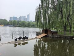 -西海子公园