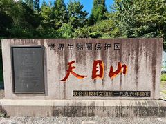 -天目山大树王景区