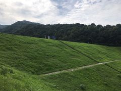 -龙坞茶村